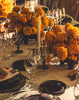 Día de los Muertos