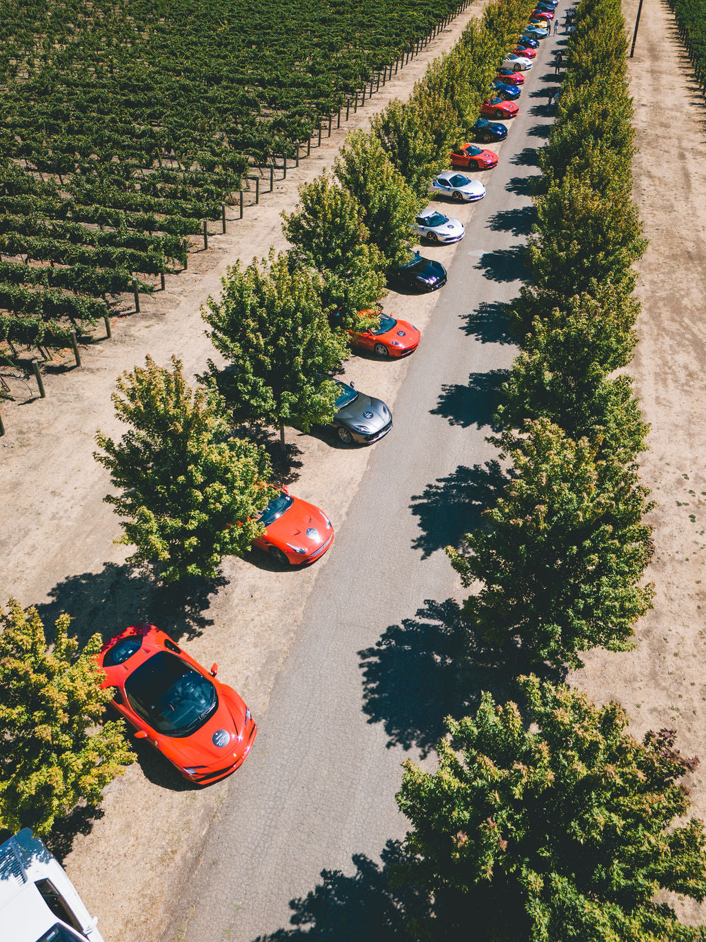 Ferrari Rally – Cervantes Family Vineyards