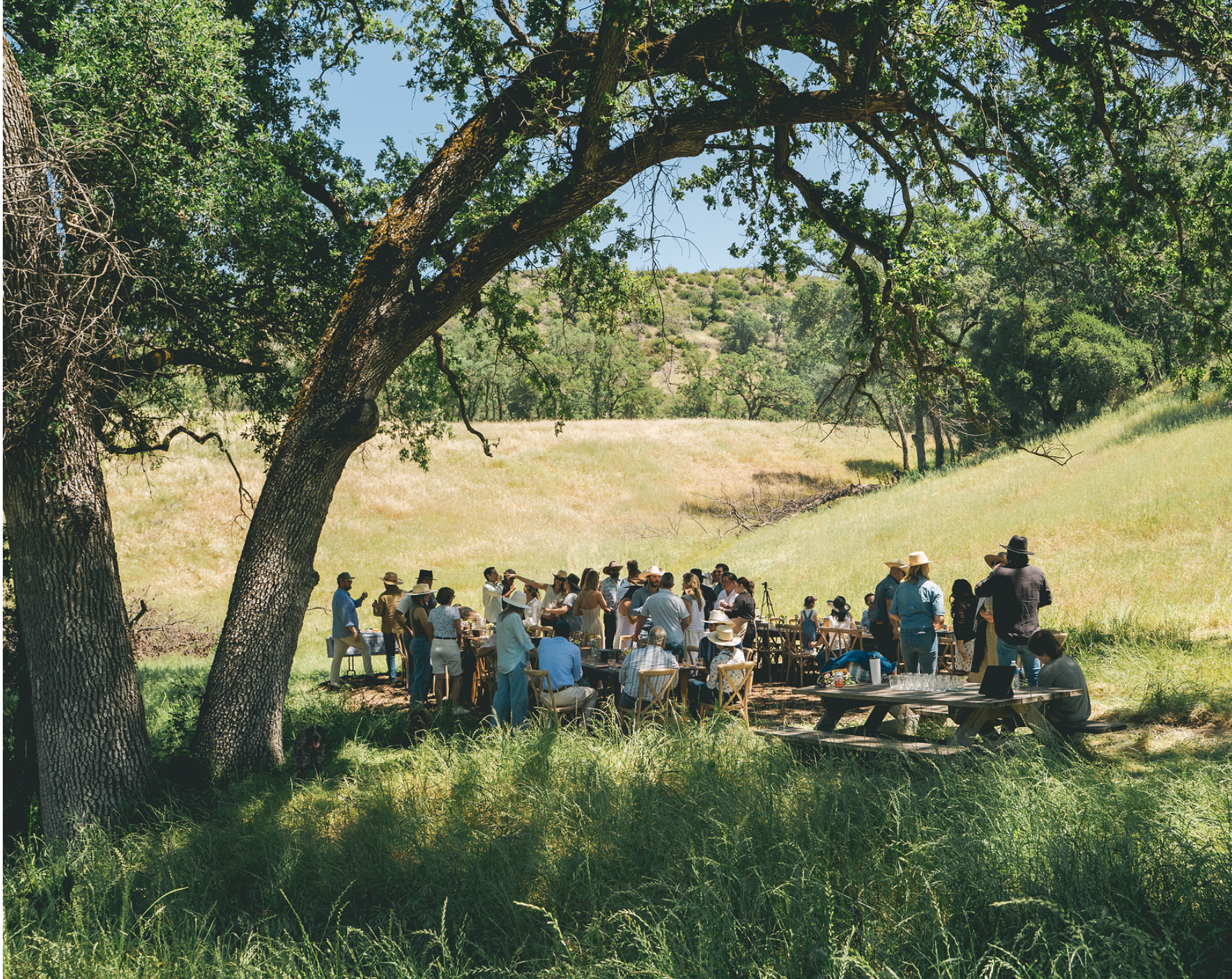 A group of people gathered around picnic tables under large trees in a grassy outdoor field, with rolling hills and blue sky in the background.